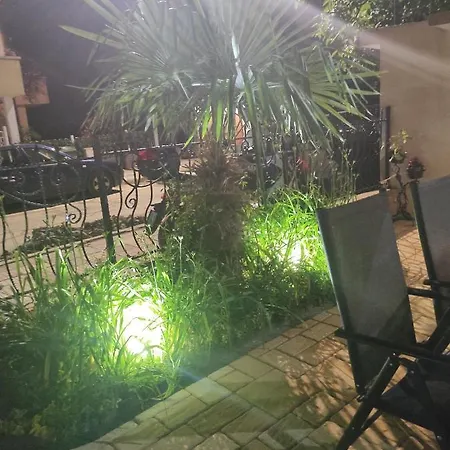 Adriya 普里莫尔斯科