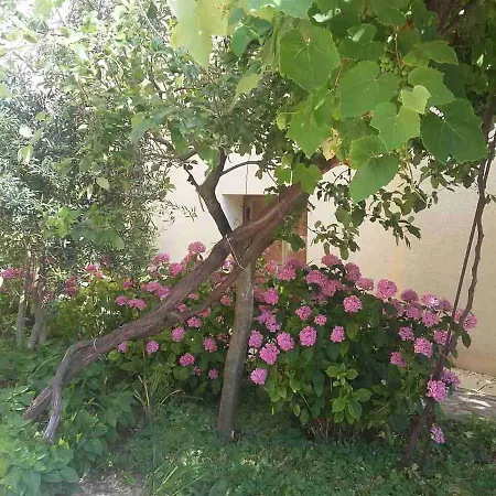 Adriya 4* 普里莫尔斯科