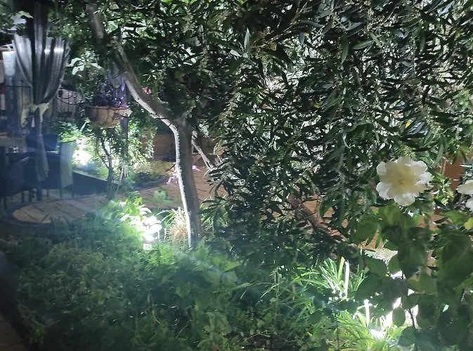 Adriya 게스트하우스 프리모르스코