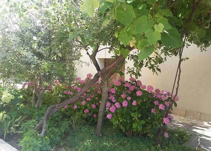 Adriya 4* 프리모르스코