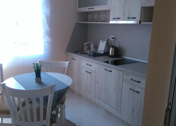 Adriya 4* 프리모르스코