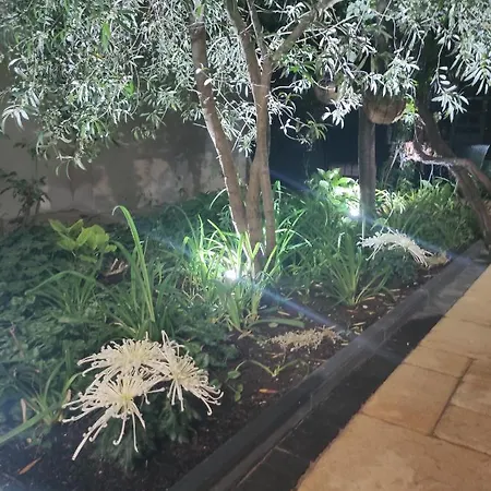 Adriya Guest house 4*