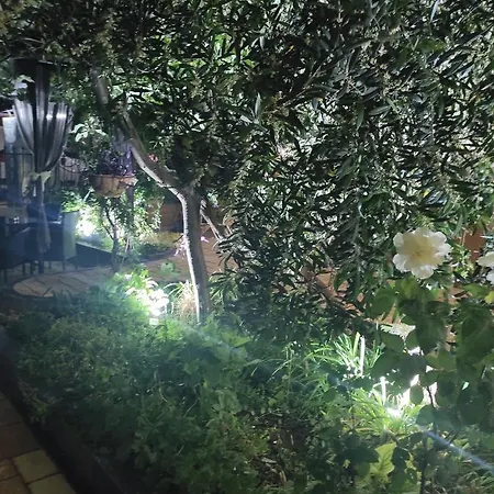 Adriya Guest house Primorsko