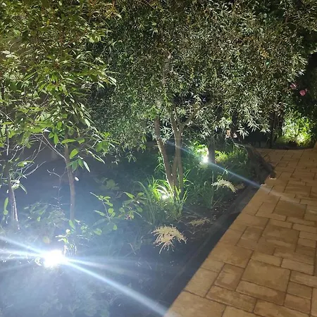 Guest house Adriya 4*